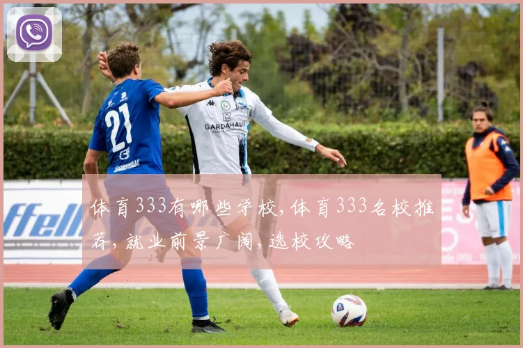 体育333有哪些学校,体育333名校推荐,就业前景广阔,选校攻略