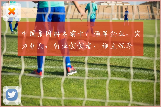 中国集团排名前十，领军企业，实力非凡，行业佼佼者，谁主沉浮