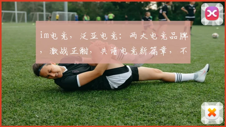 im电竞，泛亚电竞：两大电竞品牌，激战正酣，共谱电竞新篇章，不容错过