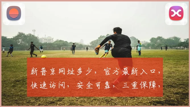 新普京网址多少，官方最新入口，快速访问，安全可靠，三重保障，请牢记